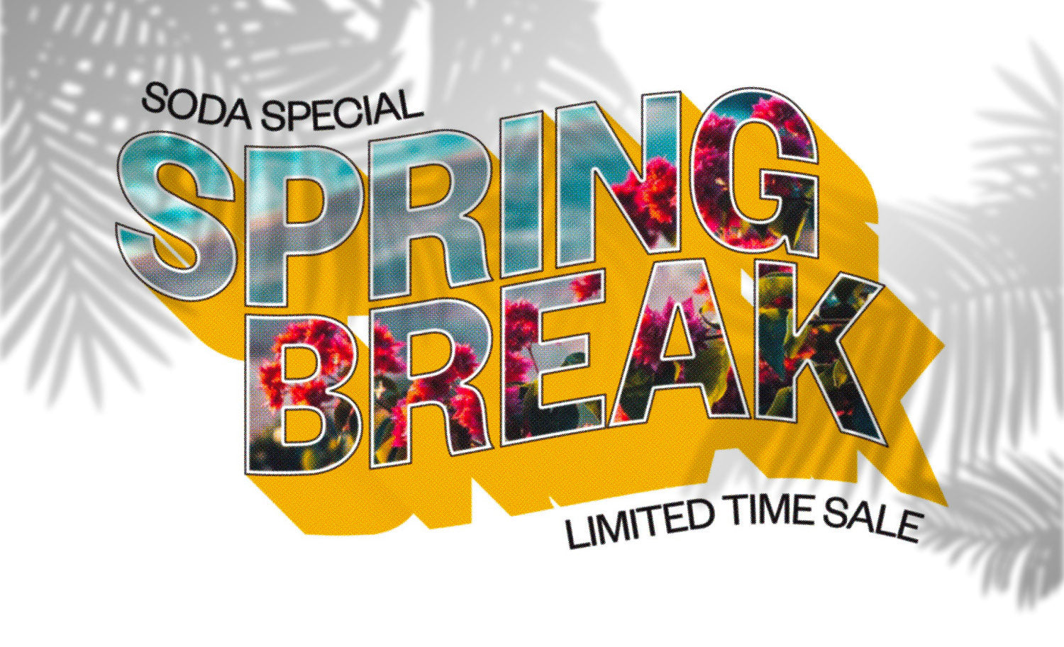 Spring Break Limited Time Sale
